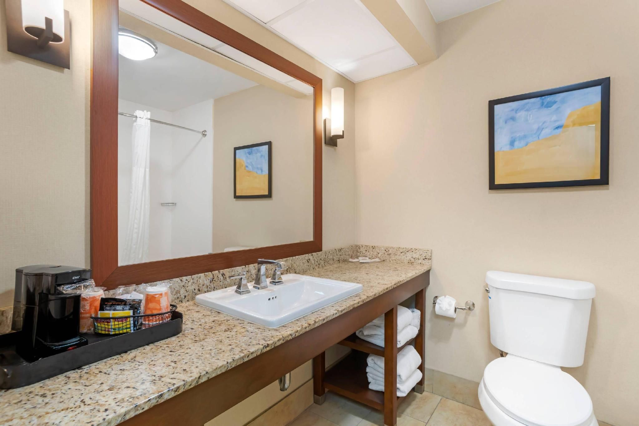 1 King Bed, Suite, Nonsmoking