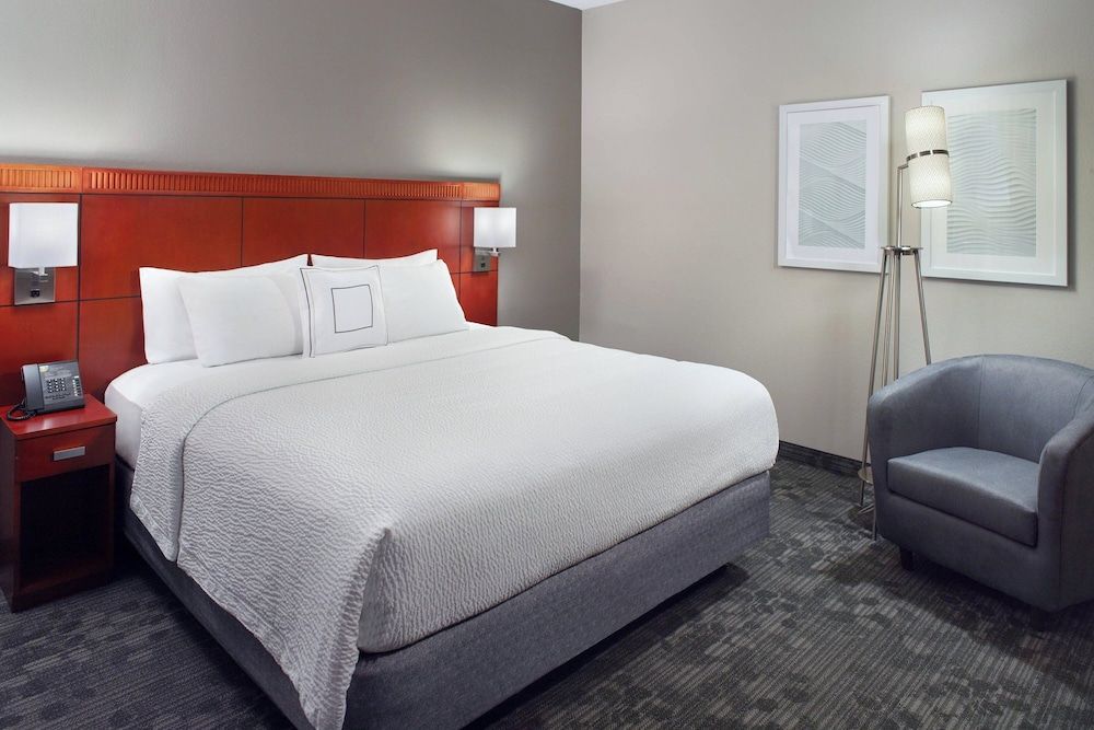 Suite, 1 King Bed with Sofa bed (Hearing Accessible)