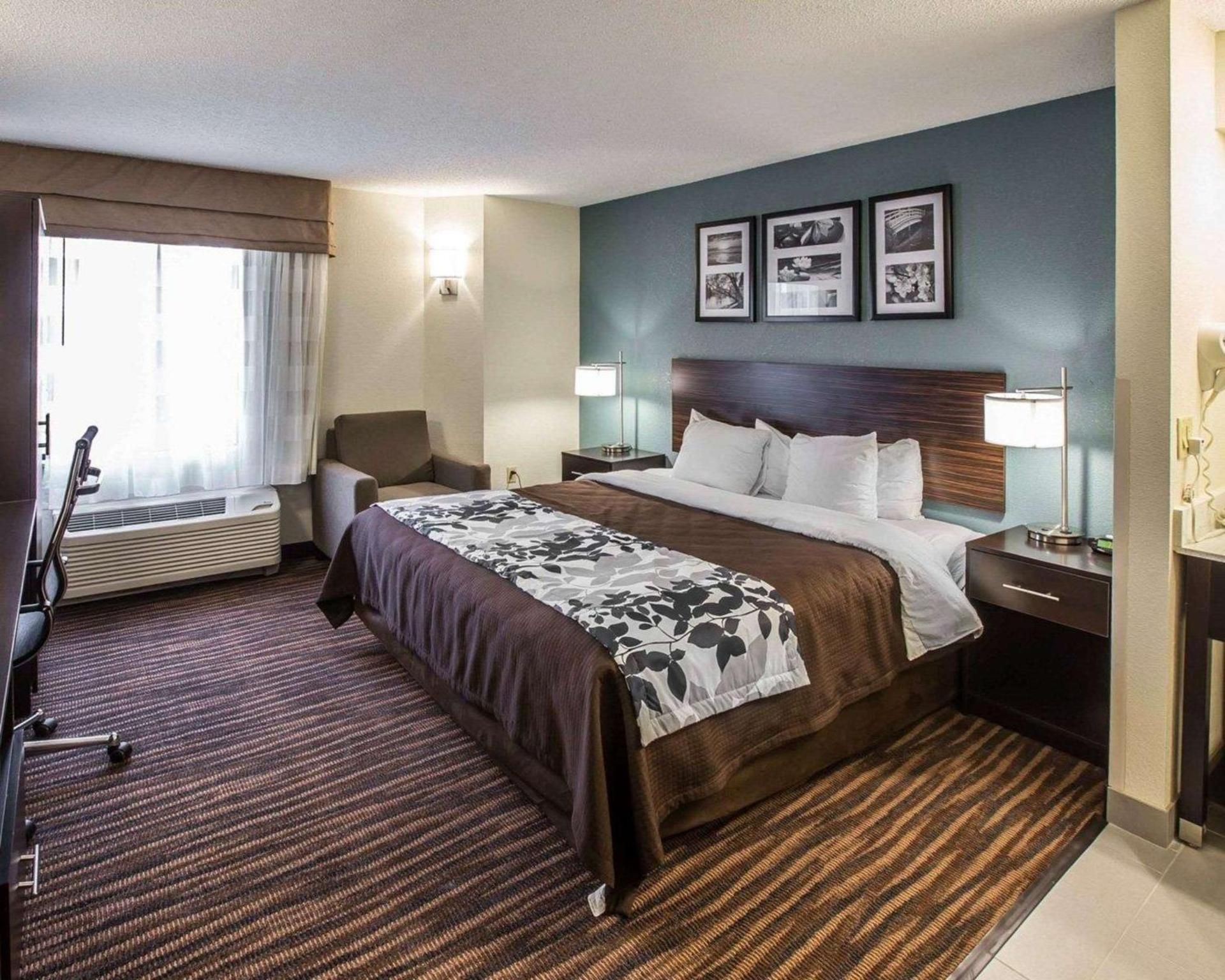 1 King Bed, Nonsmoking