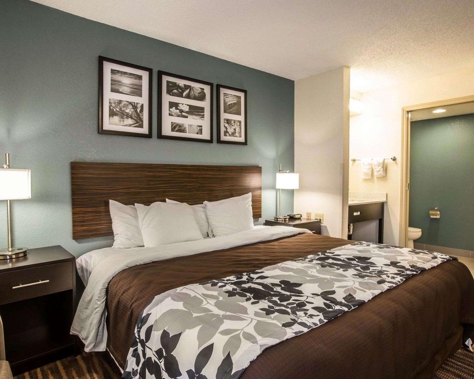 1 King Bed, Nonsmoking