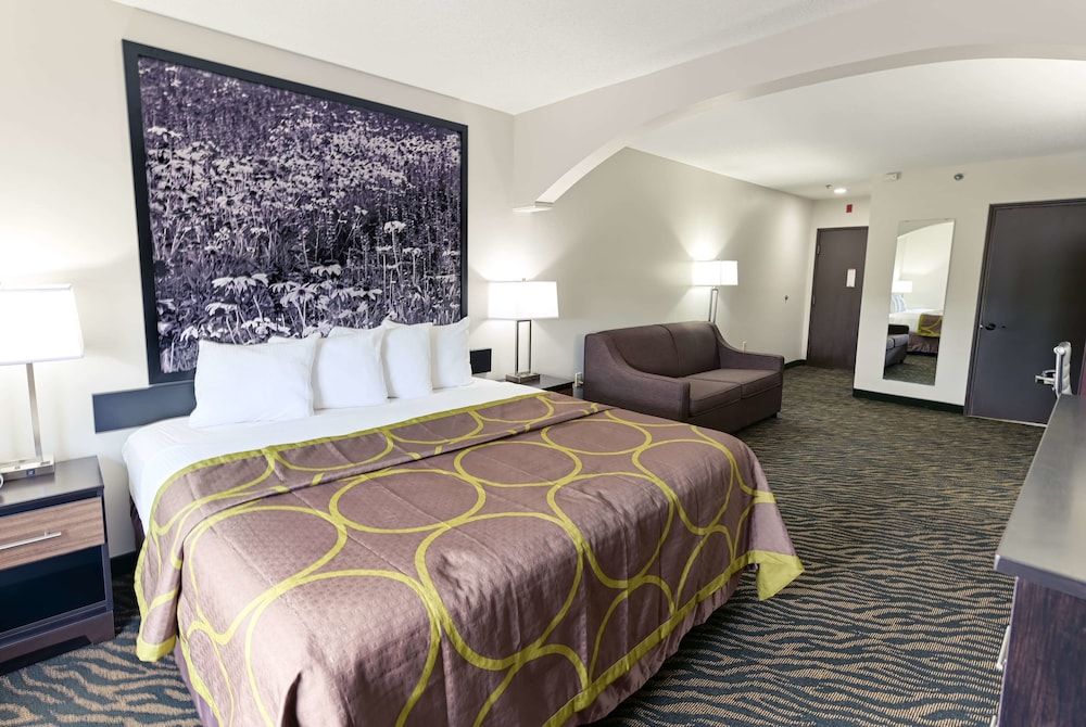 Standard Room, 1 King Bed with Sleeper Sofa, Non Smoking