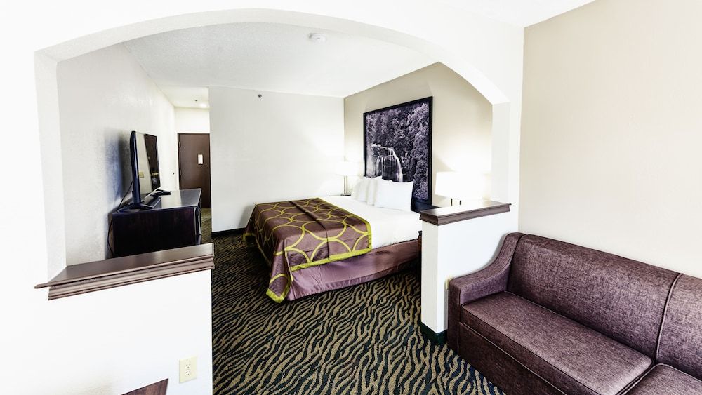 Room, 1 King Bed, Mobility Accessible with Sleeper Sofa, Non Smoking