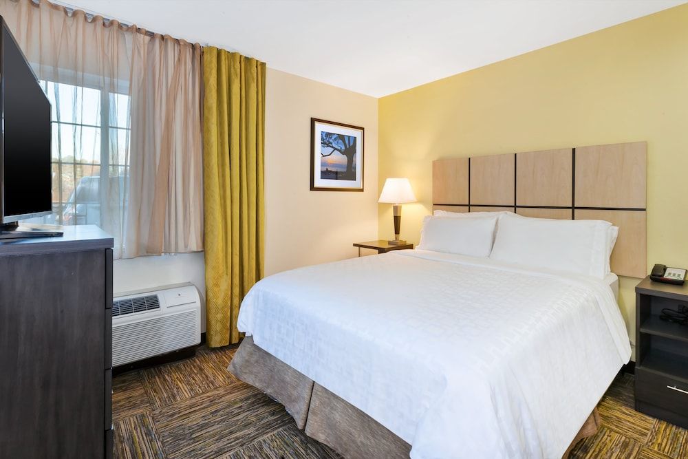 Suite, 1 Queen Bed