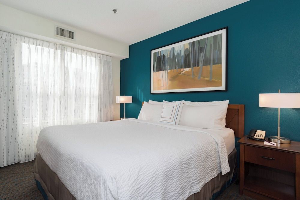Suite, 1 King Bed with Sofa bed