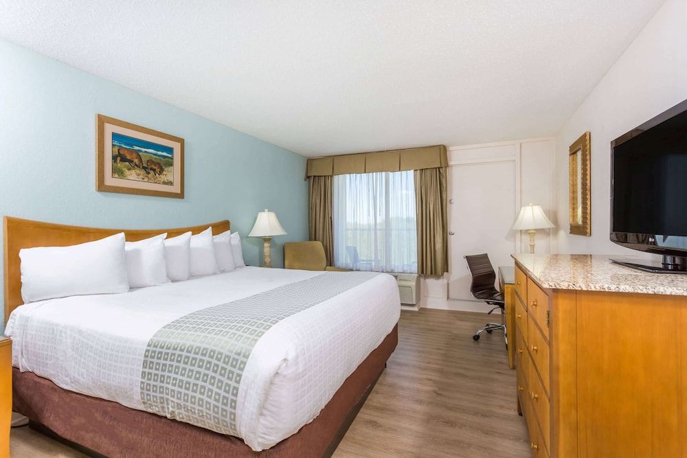 Room, 1 King Bed, Accessible, Non Smoking (Pet-Friendly, Mobility Accessible)