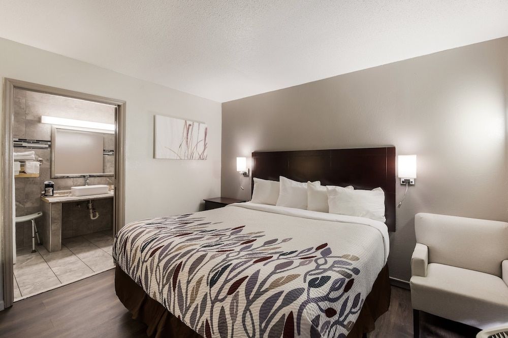 Red Roof Inn Lenoir Deluxe Room, 1 King Bed, Non Smoking