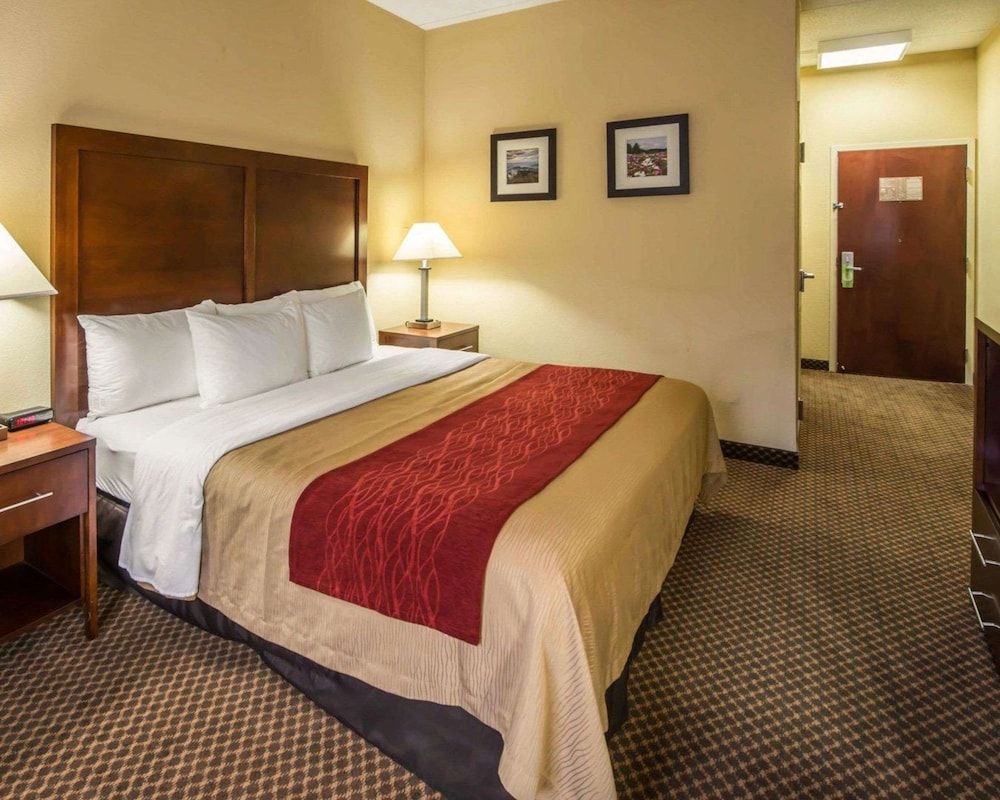 Room, 1 King Bed, Accessible, Non Smoking