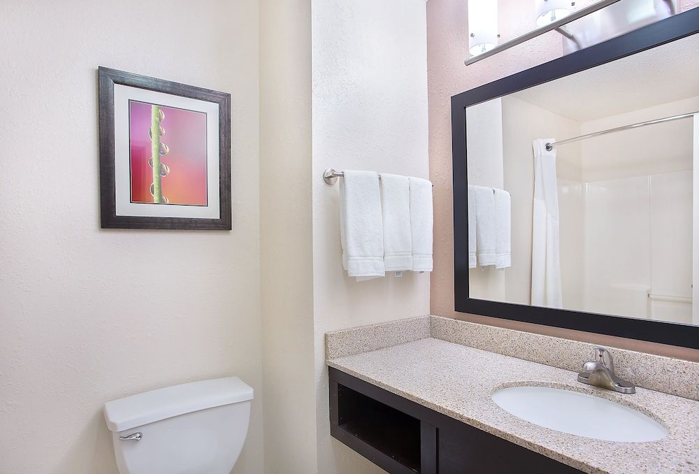 Suite, Multiple Beds