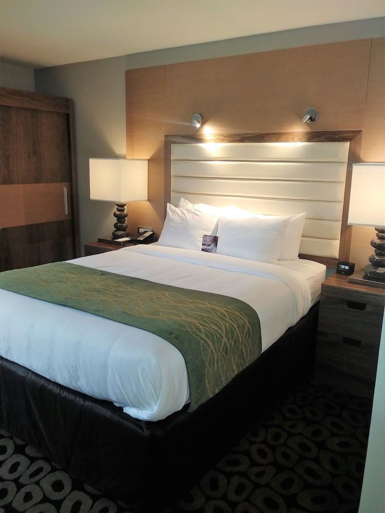 Standard Room, 1 Queen Bed, Accessible, Non Smoking