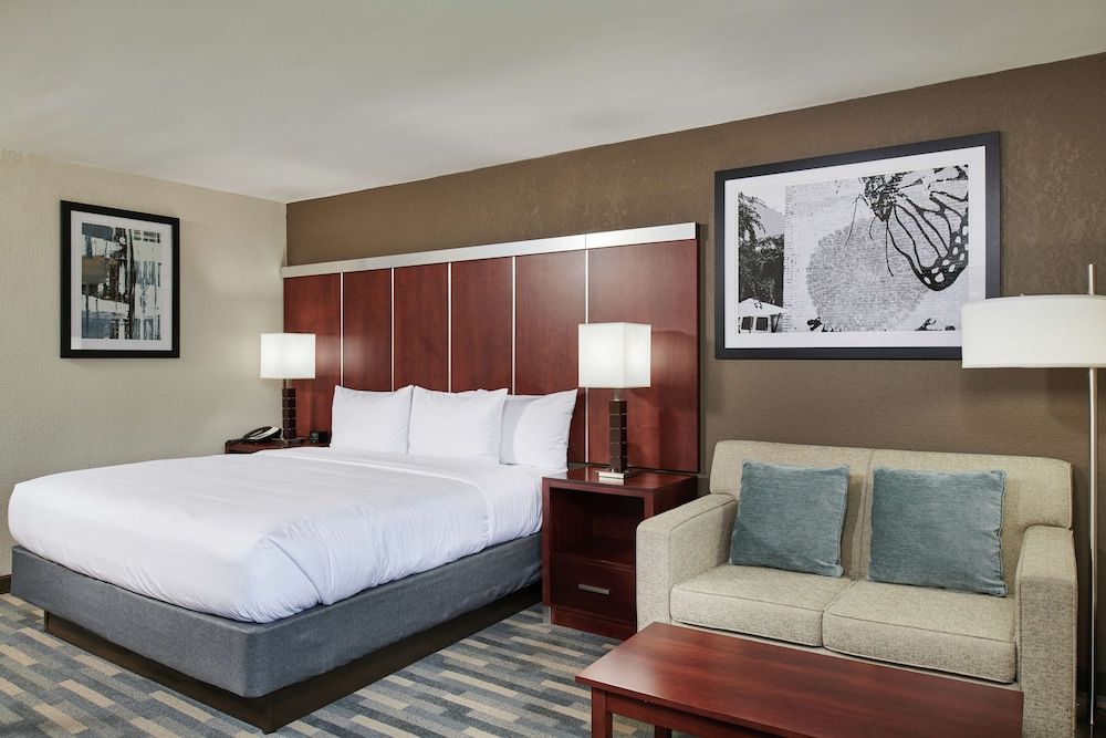 Room, 1 King Bed