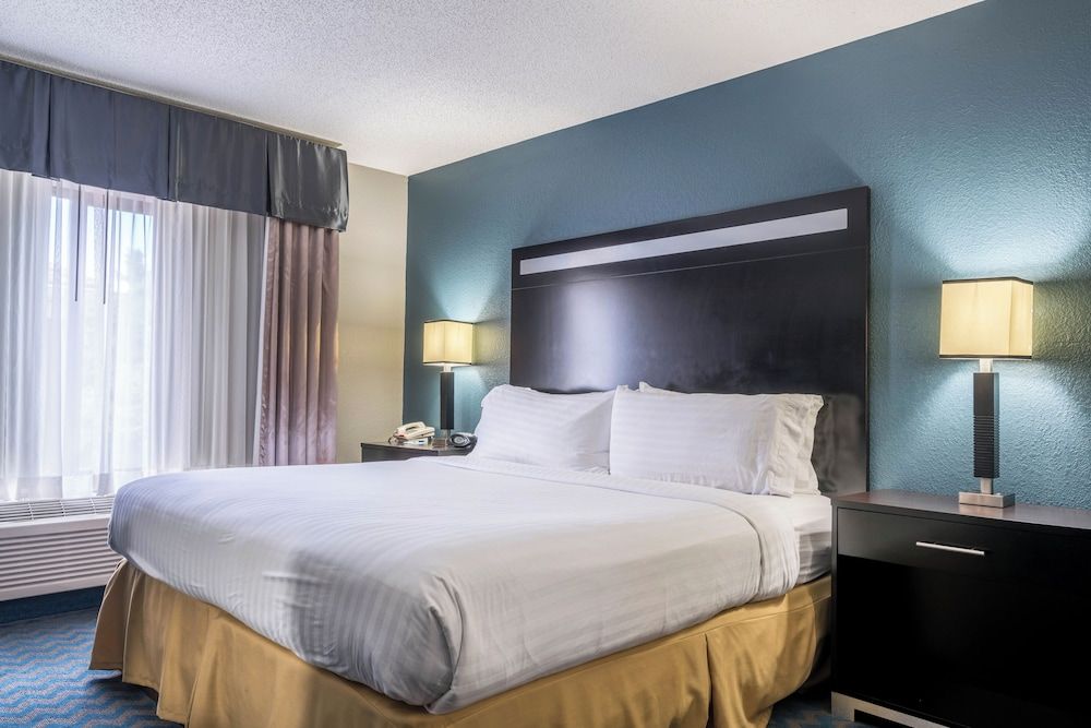 Suite, 1 King Bed, Accessible (Comm, Mobil, Roll In Shwr)