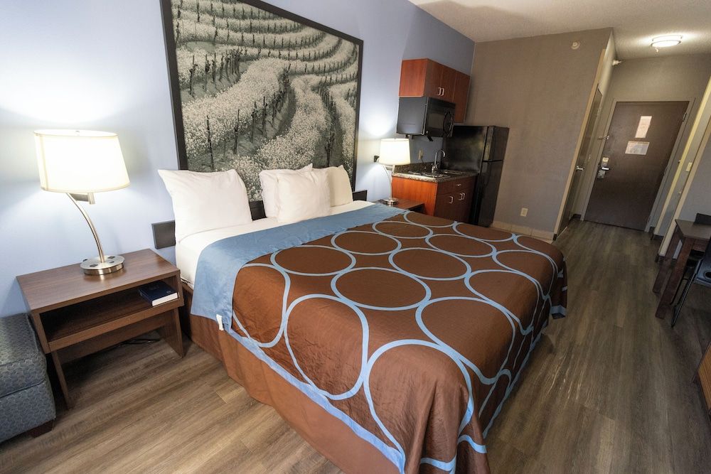 Room, 1 King Bed, Non Smoking (Efficiency)