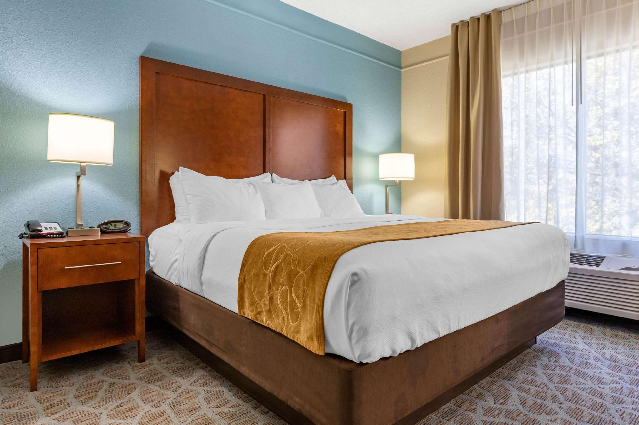 1 King Bed, Suite, Nonsmoking, Accessible