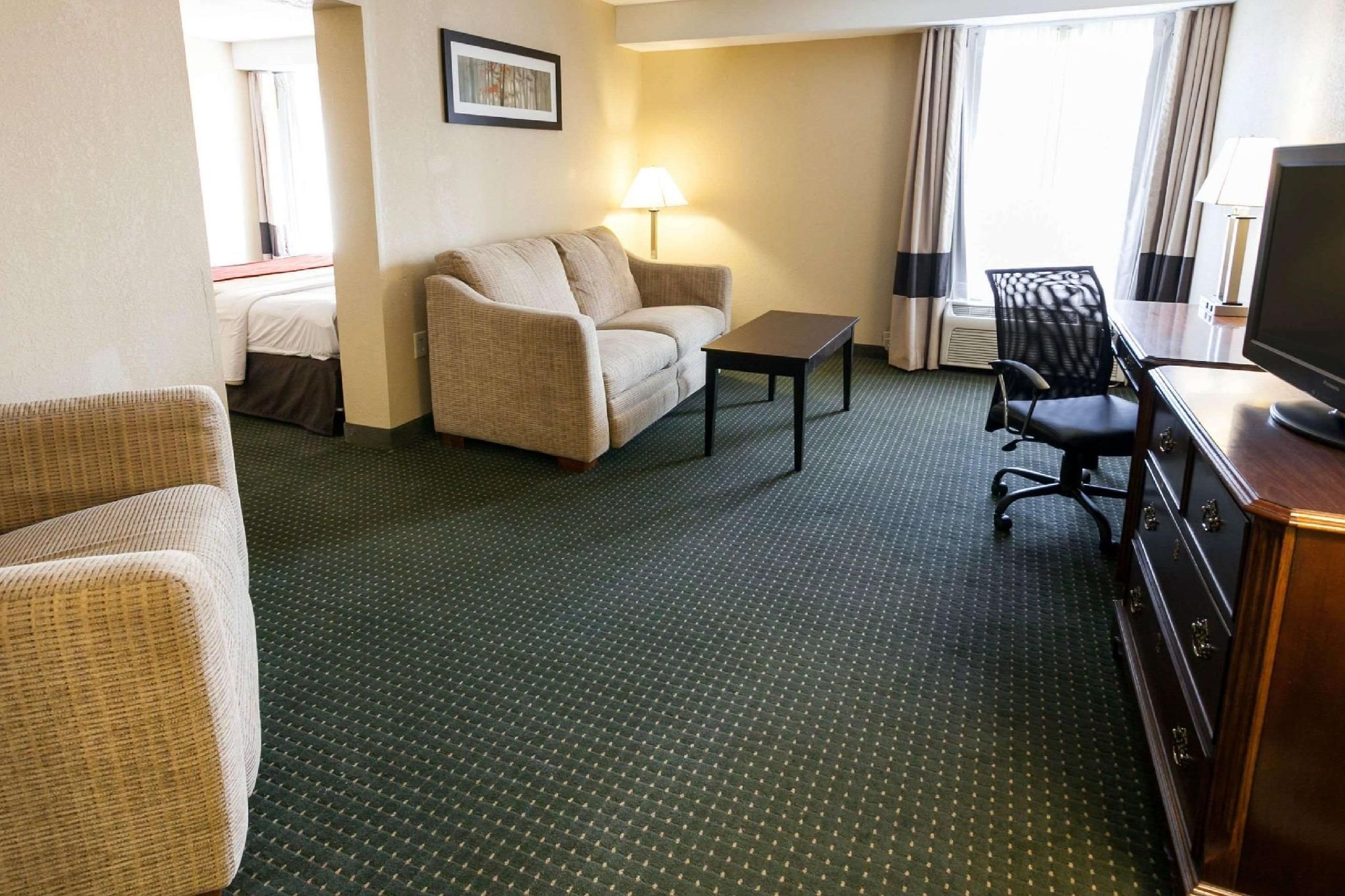 1 King Bed, Suite, Nonsmoking