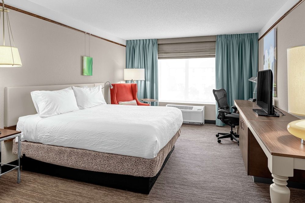 Room, 1 King Bed (Hearing Accessible)