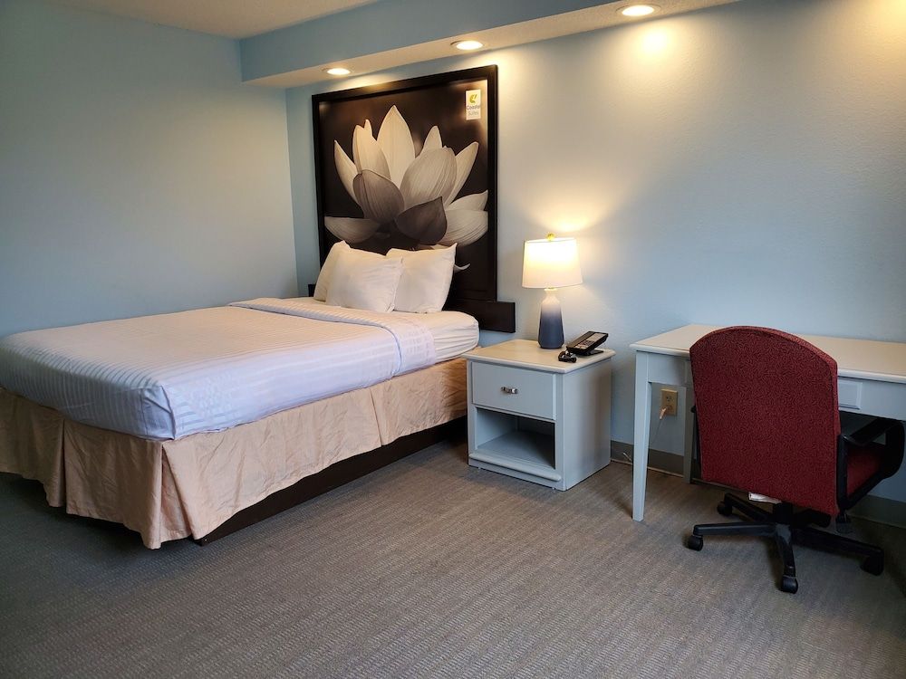Standard Room, 1 Queen Bed