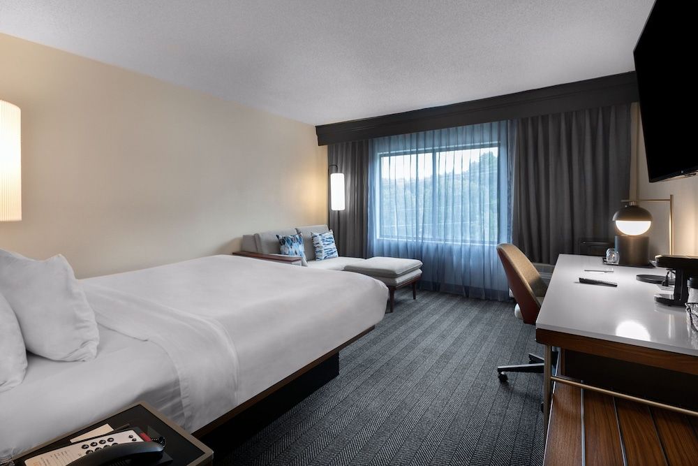Room, 1 King Bed with Sofa bed (Mobility Accessible, Roll-in Shower)