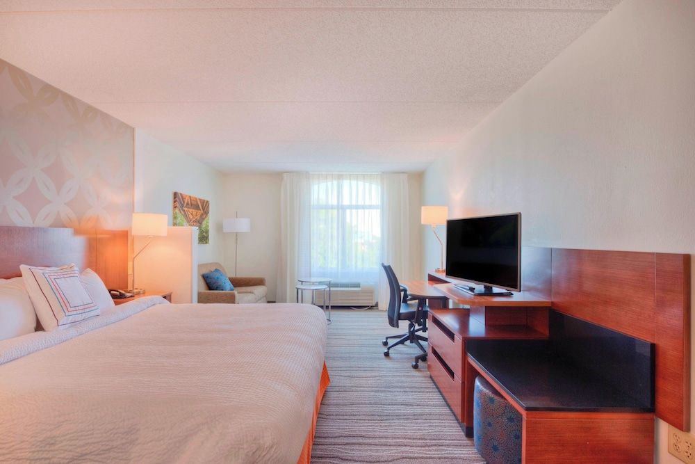 Room, 1 King Bed with Sofa bed
