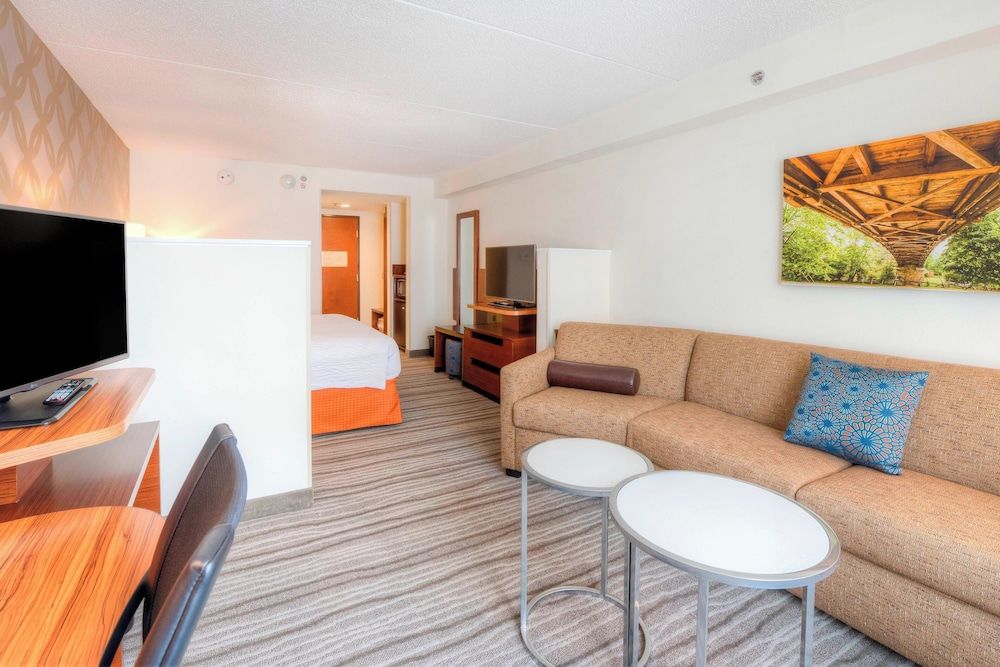 Executive Suite, 1 King Bed with Sofa bed