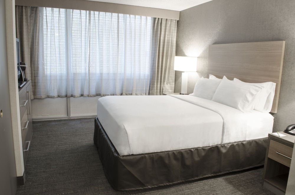 Suite, 1 Bedroom