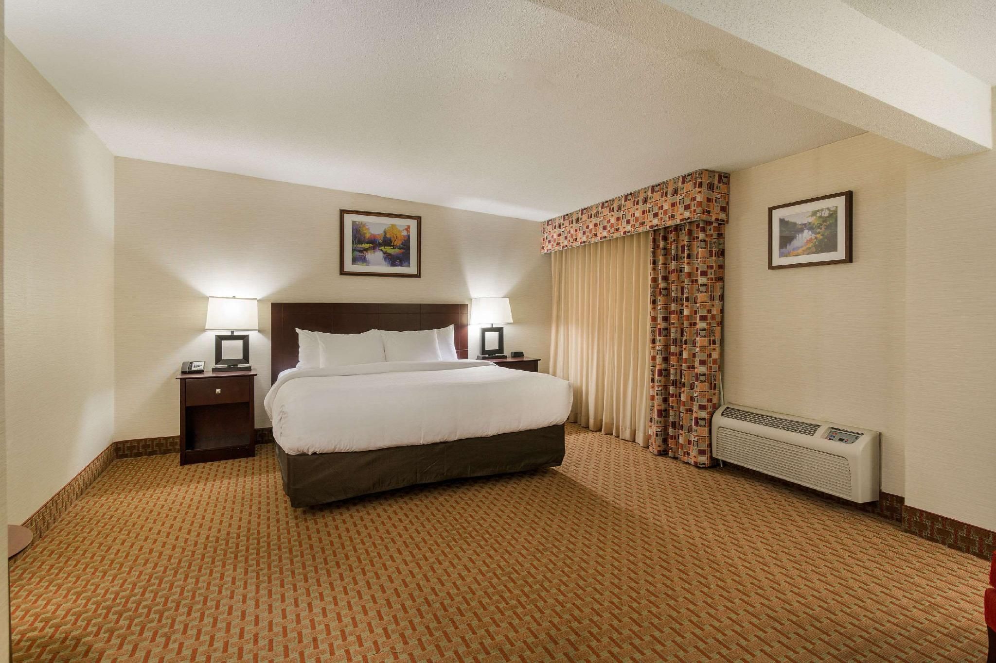 1 King Bed, Suite, Nonsmoking