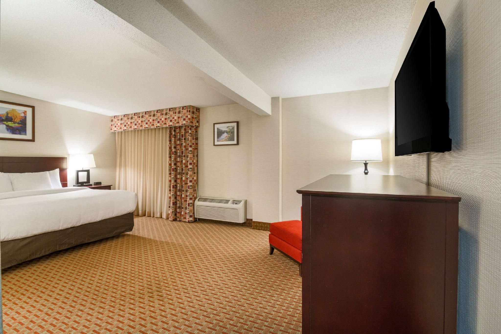 1 King Bed, Suite, Nonsmoking