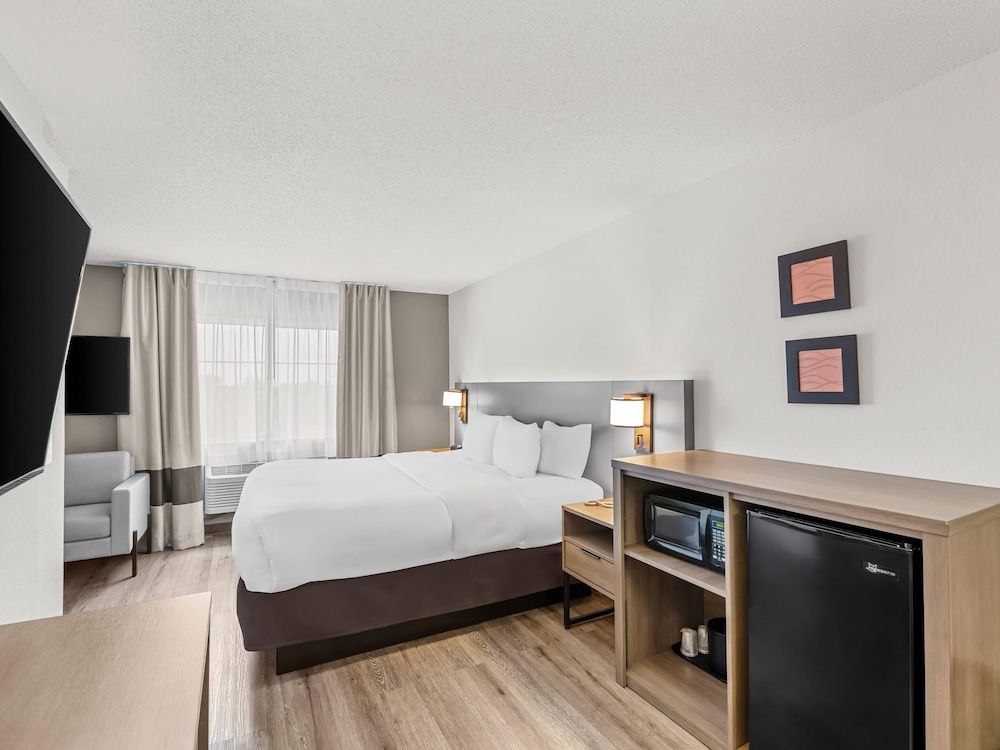 Suite, 1 King Bed with Sofa bed, Non Smoking