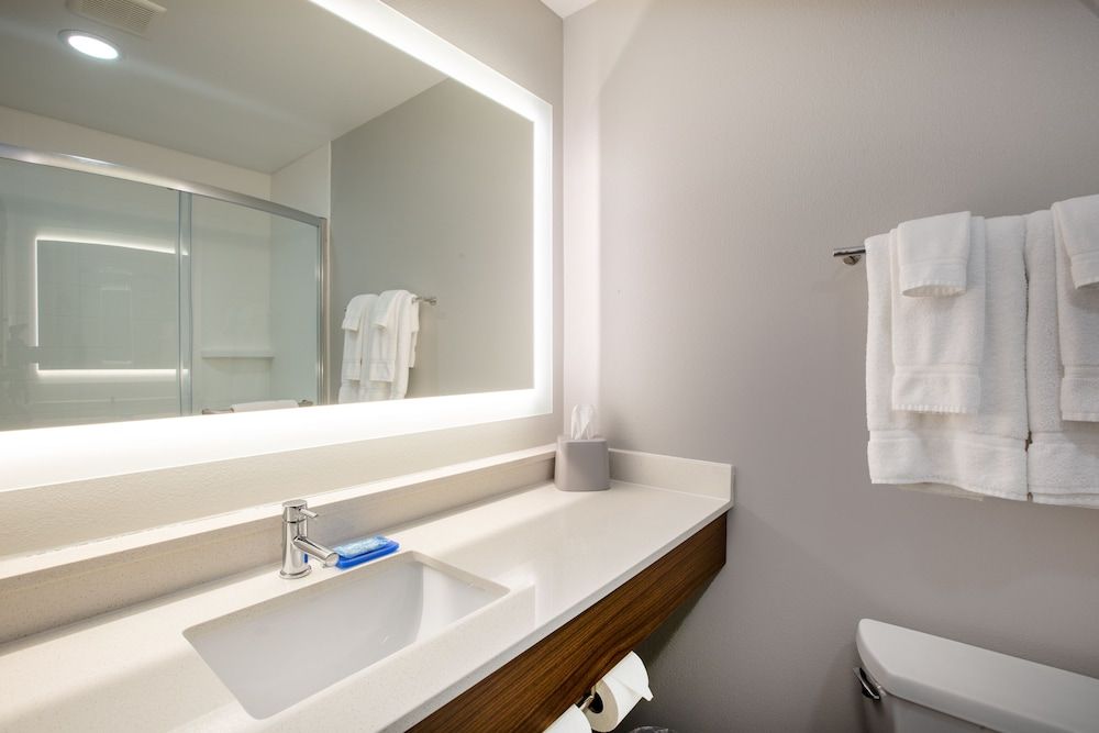 Suite, 1 King Bed