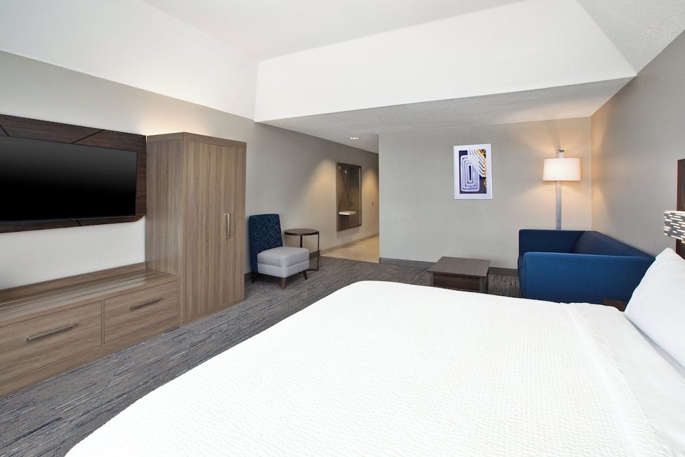 Suite, 1 King Bed with Sofa bed