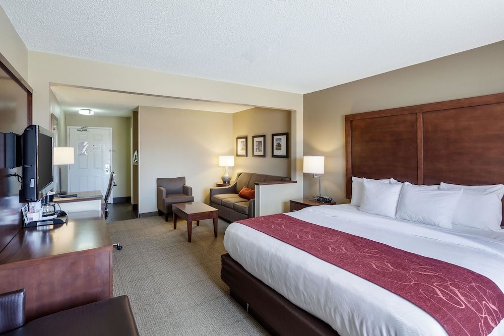 Suite, 1 King Bed with Sofa bed, Accessible, Non Smoking