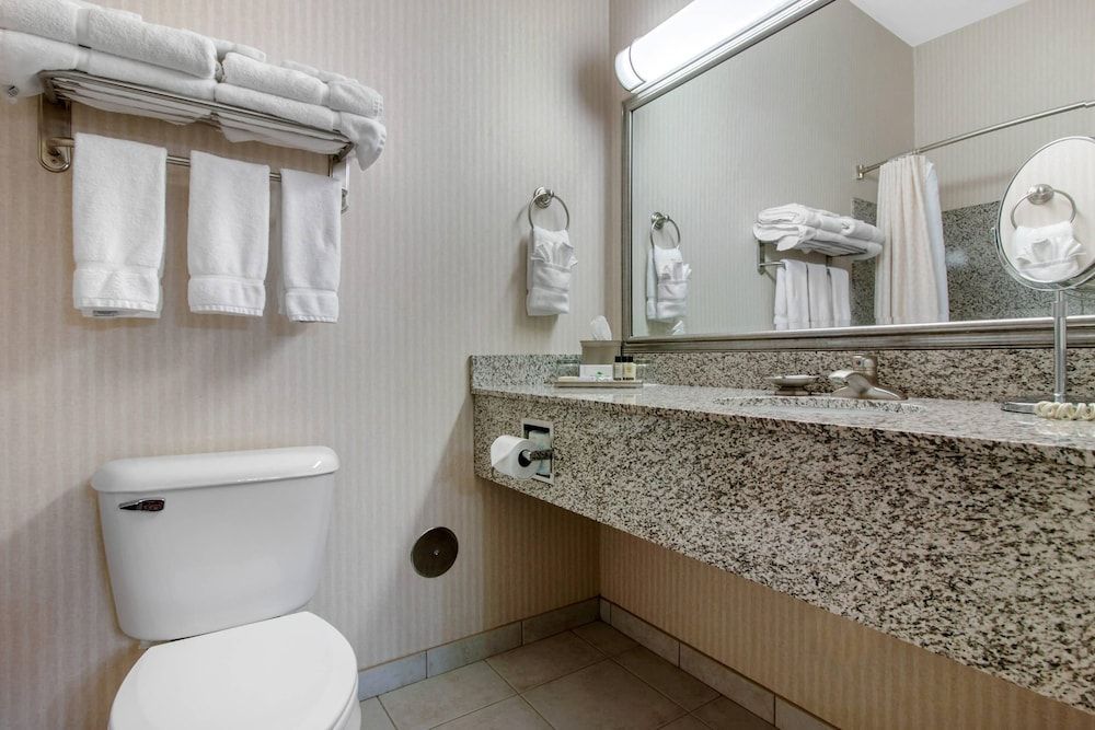 Suite, 1 King Bed with Sofa bed, Non Smoking
