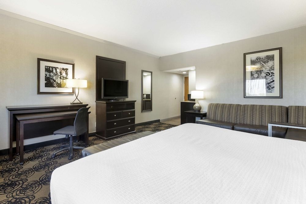 Standard Room, 1 King Bed, Non Smoking, Microwave (with Sofabed)