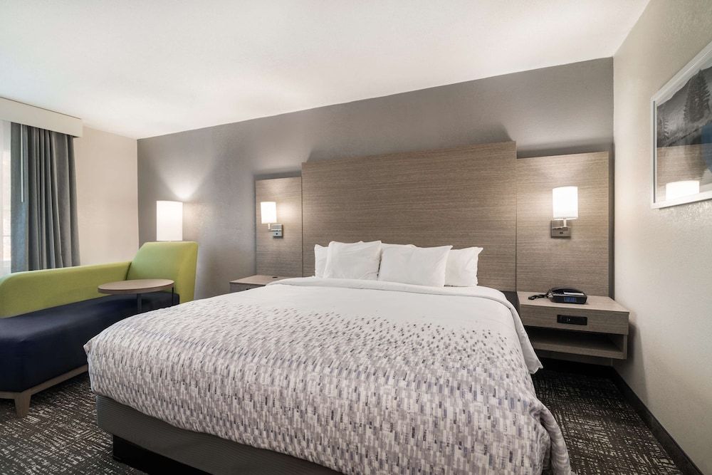 Standard Room, 1 King Bed, Non Smoking (Pet Friendly)