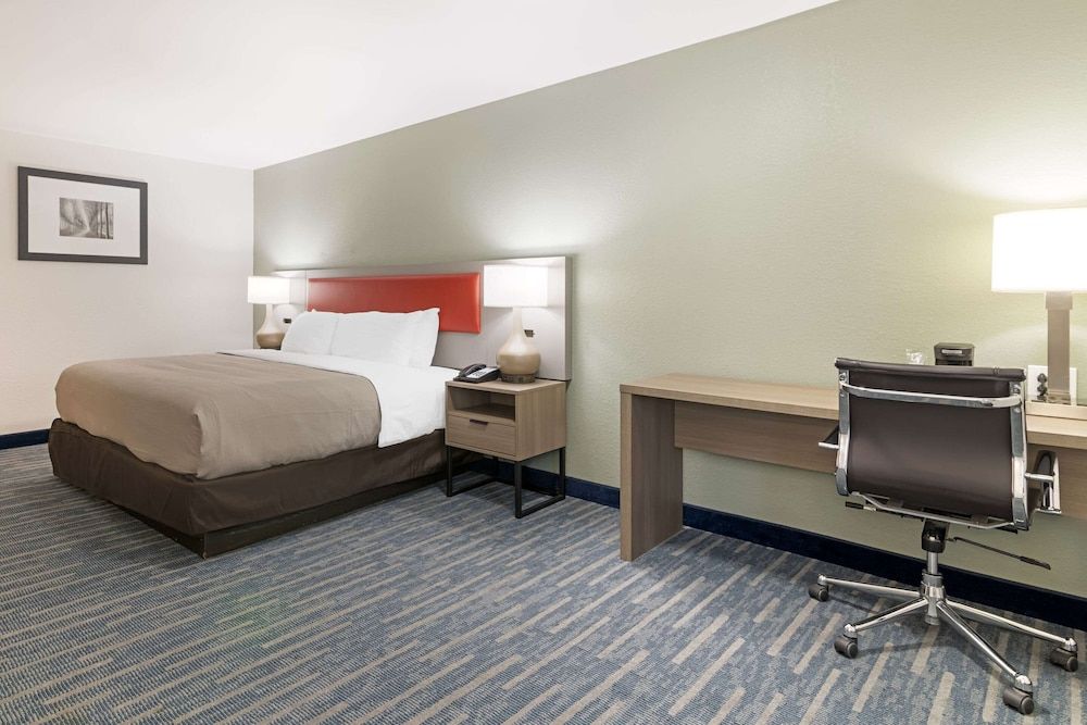 Standard Room, 1 King Bed, Non Smoking