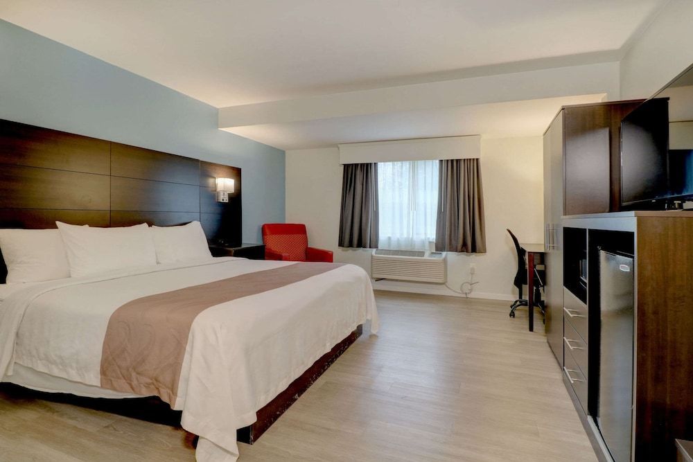 Room, 1 King Bed, Accessible, Non Smoking (No Pets)