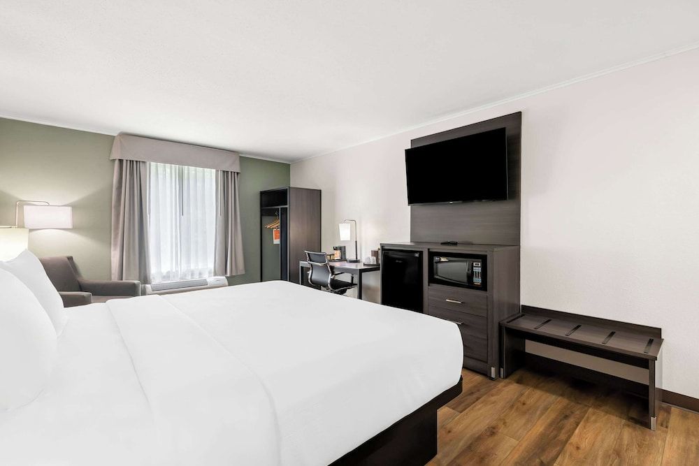 Standard Room, 1 King Bed, Non Smoking