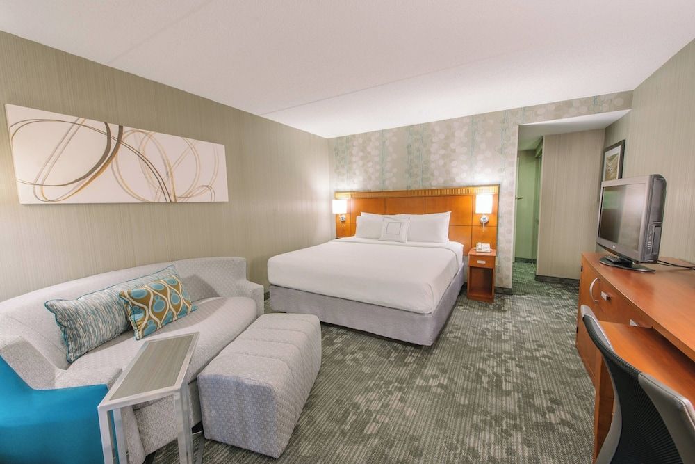 Room, 1 King Bed with Sofa bed (Hearing Accessible)