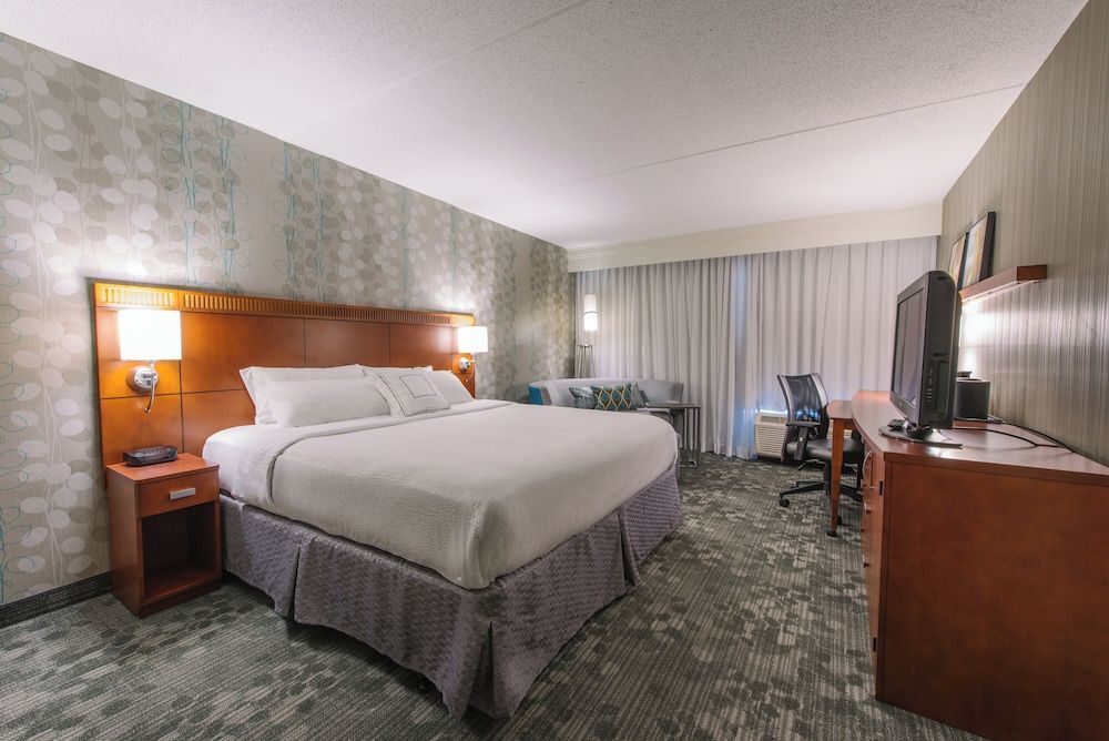 Room, 1 King Bed with Sofa bed (Hearing Accessible)