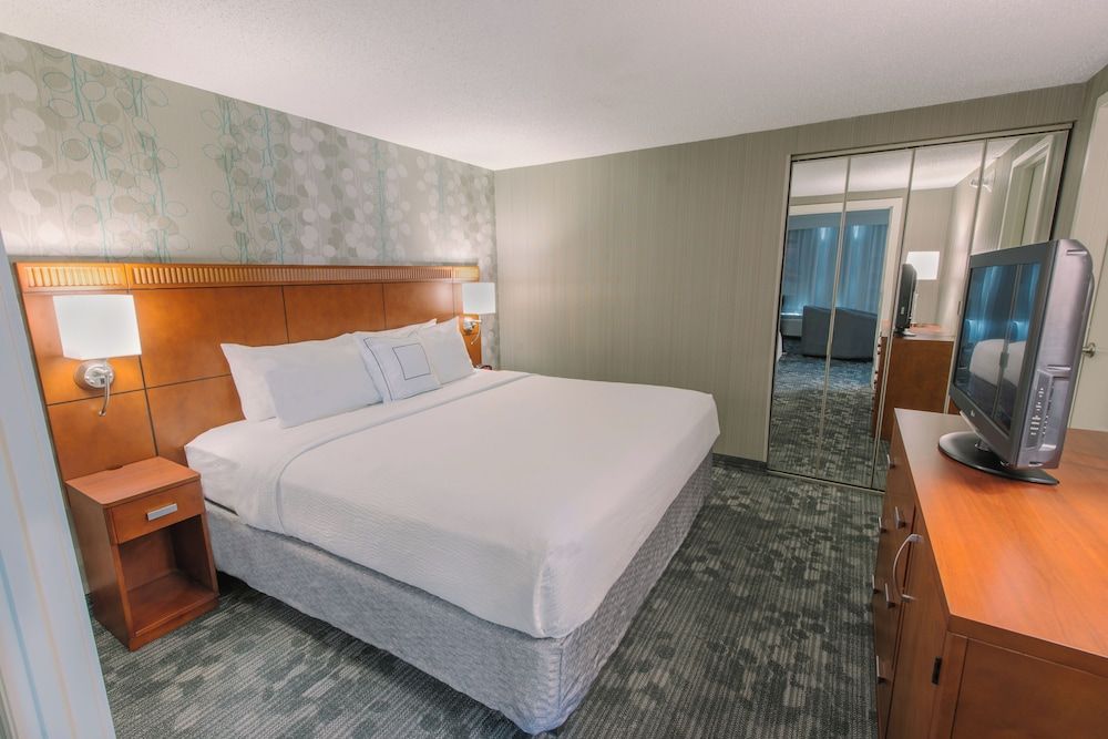 Room, 1 King Bed with Sofa bed, Non Smoking