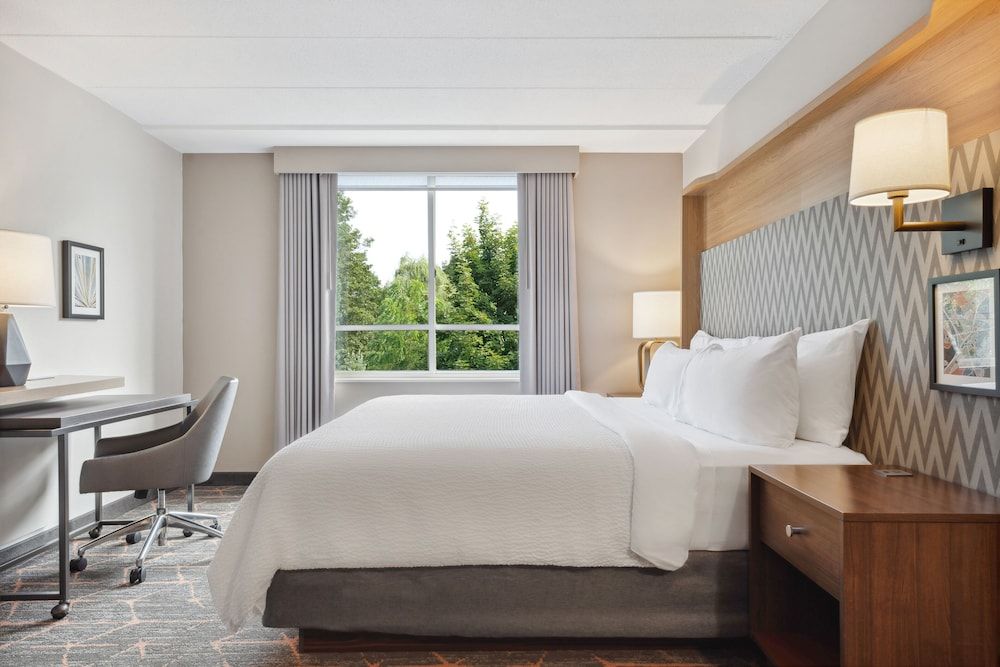 Standard Room, 1 King Bed with Sofa bed