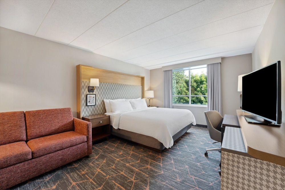 Standard Room, 1 King Bed with Sofa bed