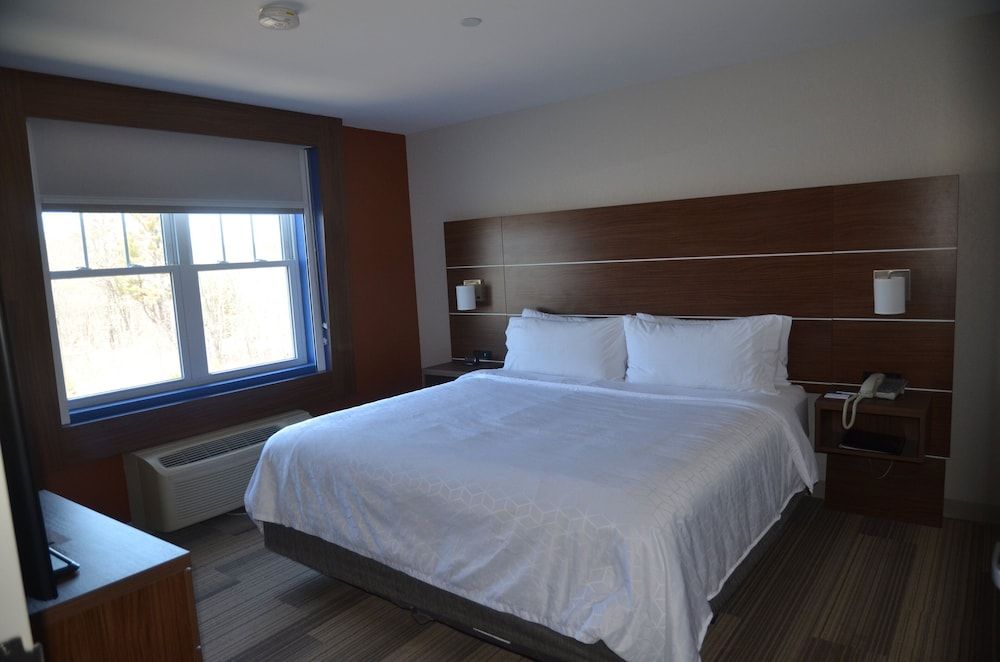Suite, 1 King Bed with Sofa bed