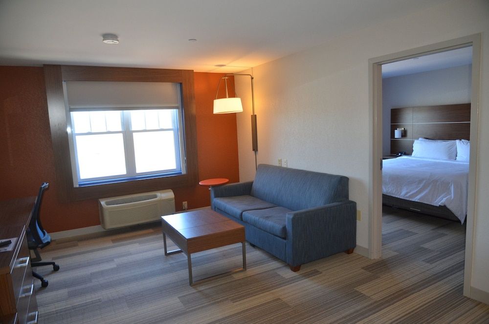 Suite, 1 King Bed with Sofa bed