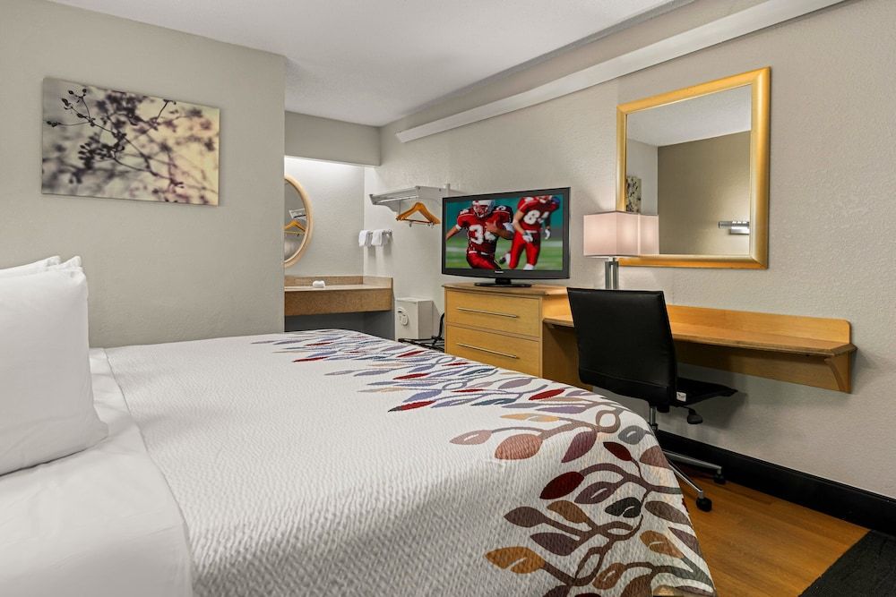 Standard Room, 1 King Bed (Smoke Free)
