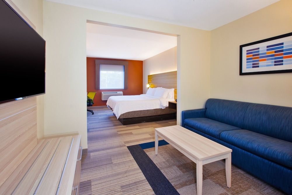 Suite, 1 King Bed with Sofa bed