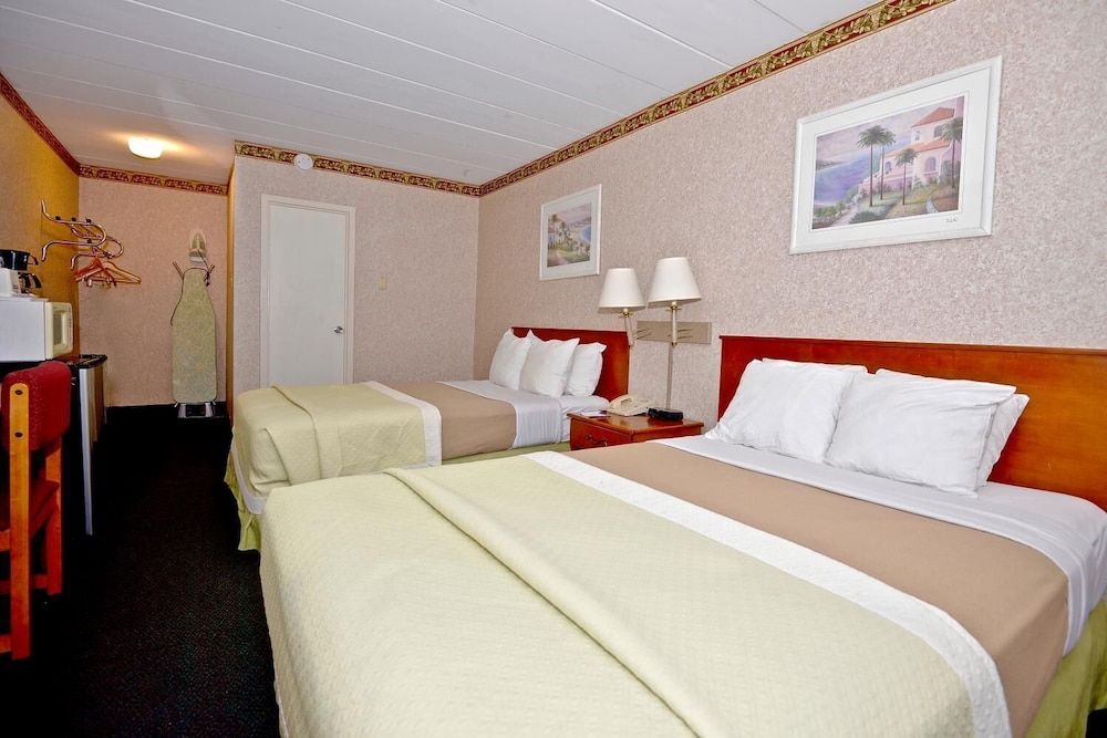 Suite, Multiple Beds