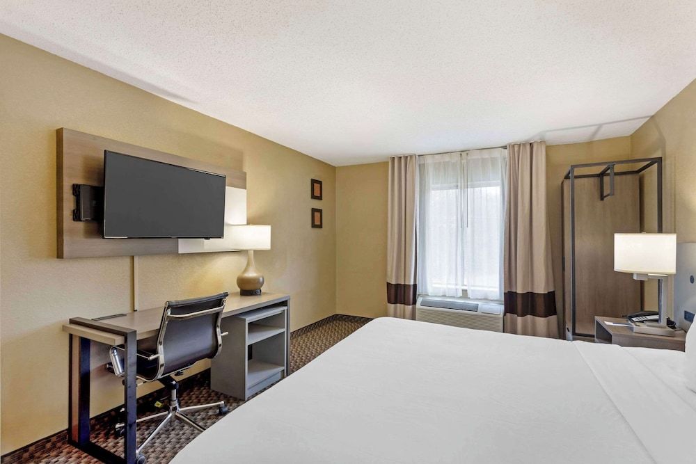 Suite, 1 King Bed with Sofa bed, Accessible, Non Smoking (Efficiency)