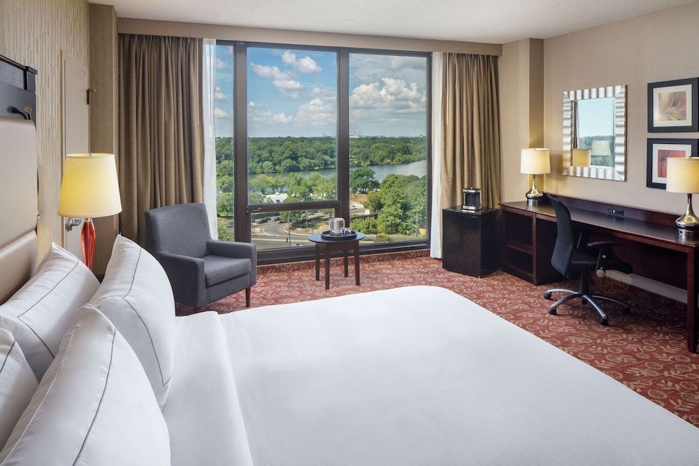 Room, 1 King Bed