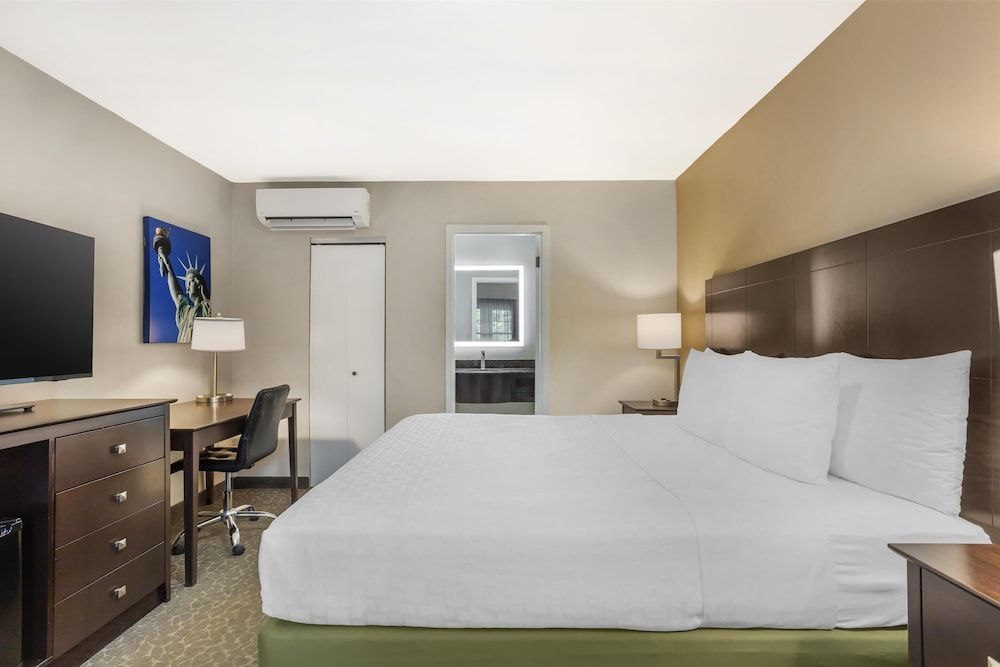 Standard Room, 1 King Bed, Non Smoking, Refrigerator (Shower Only)