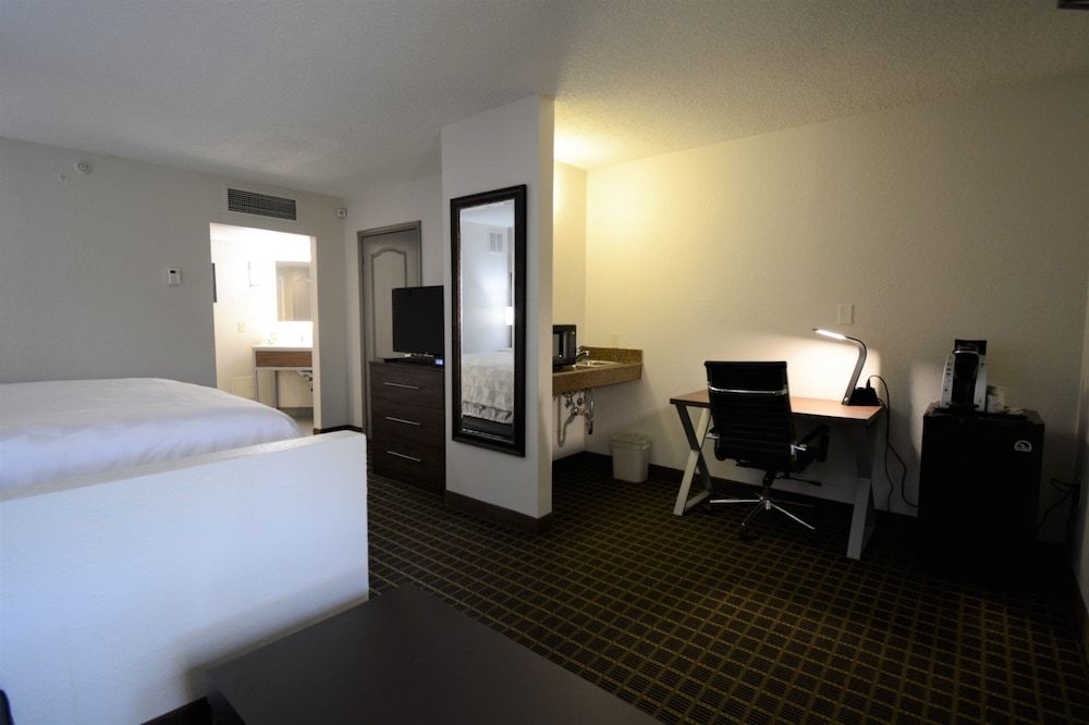 Suite, 1 King Bed